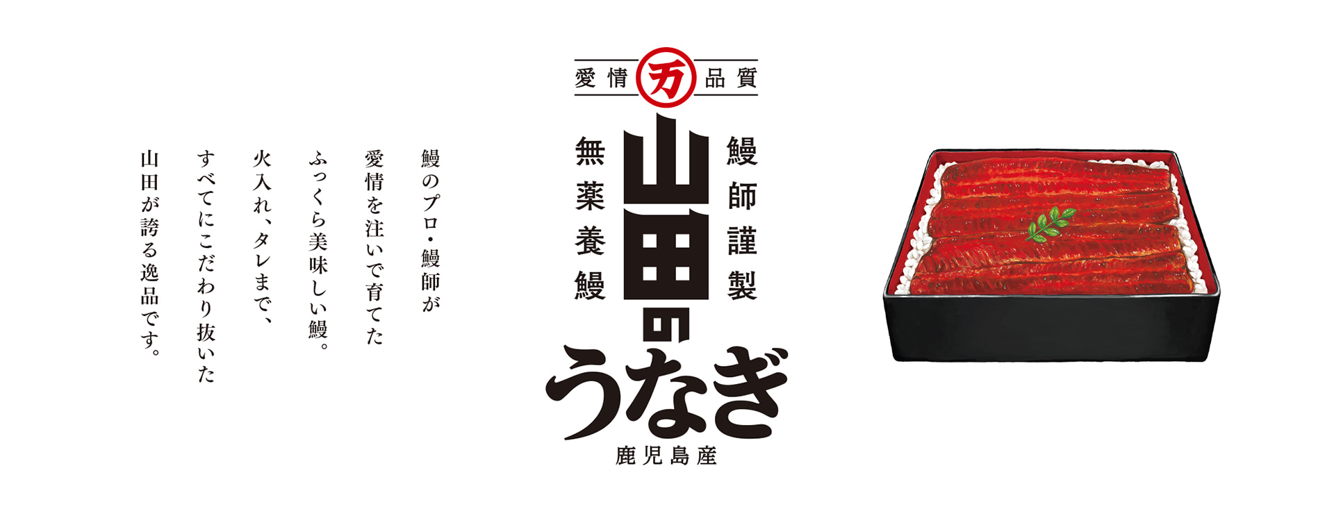 山田のうなぎ／4尾